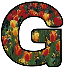 Dekobuchstaben-Tulpe_G.jpg